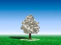 Money Tree Under Blue Sky Royalty Free Stock Photo