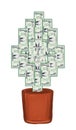 Money Tree of US Dollar banknotes Royalty Free Stock Photo