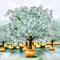 Money trees Royalty Free Stock Photo