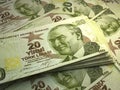 Turkish money. Turkish lira banknotes. 20 TRY liralar bills