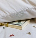 Money Under Pillow