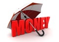 Money under Umbrella (clipping path included) Royalty Free Stock Photo