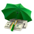 money under umbrella on white background. Isolated 3d illustration Royalty Free Stock Photo