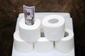 Money in us dollars and toilet paper, close-up. Concept of trouble in the crisis of the coronavirus