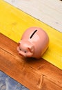 Moneybox for coins with pig face. Traditional home fund savings