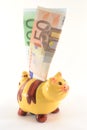 Moneybox with euro banknotes Royalty Free Stock Photo