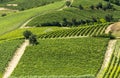 Monferrato (Italy) Royalty Free Stock Photo