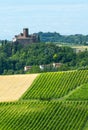 Monferrato (Italy) Royalty Free Stock Photo