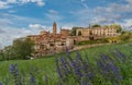 Monforte Alba, langhe, Italy