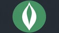 A MongoDB icon representing the popular NoSQL document-oriented database used for big data applications created with Generative AI