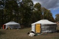 Mongol gers (tents) and calves, Tuv, Mongolia. Royalty Free Stock Photo