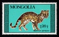 Post stamp dedicated to domestic cats. thoroughbred cat is depicted on stamp