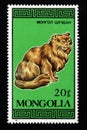 Post stamp dedicated to domestic cats. thoroughbred cat is depicted on stamp