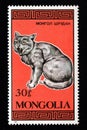 Post stamp dedicated to domestic cats. thoroughbred cat is depicted on stamp