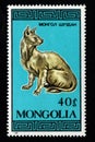 Post stamp dedicated to domestic cats. thoroughbred cat is depicted on stamp