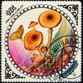 MONGOLIA - CIRCA 1985: stamp 40 Mongol mongo printed by Mongolia, shows mushrooms Armillariella mellea, fungi flora Royalty Free Stock Photo