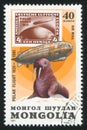 Graf Zeppelin and walrus
