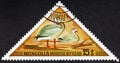 MONGOLIA - CIRCA 1973: A stamp printed in Mongolia shows Bar-headed Goose - Anser indicus, series.