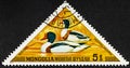 MONGOLIA - CIRCA 1973: A stamp printed in Mongolia shows Shelduck, Tadorna tadorna, series.