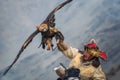 Mongolia, Golden Eagle Festival.Hunter On Horse With A Magnificent Golden Eagle, Spreading His Wings And Holding Its Prey. Royalty Free Stock Photo