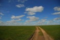 Mongolia grass road