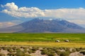 Mongolia landscape