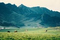 Mongolia, mountain landscape Royalty Free Stock Photo