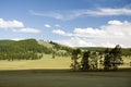 Mongolia's Northern Forests Royalty Free Stock Photo