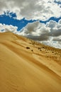 Mongolia. Sands Mongol Els, sandy dune desert