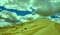 Mongolia. Sands Mongol Els, sandy dune desert