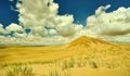 Mongolia. Sands Mongol Els, sandy dune desert