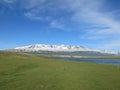 Mongolia sheep - traditional lifestyle and landscape in west Mongolia Royalty Free Stock Photo