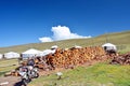 Mongolia. Stacked wood near the entrance to the camp near the lake Hovsgol near the village of khankh closeup. Royalty Free Stock Photo