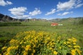 Mongolia Terelj National Park Royalty Free Stock Photo