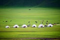 The mongolia yurts on the summer grassland