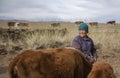 Mongoliad nomad woman with her cows
