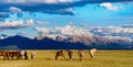 Mongolian beautiful countryside Royalty Free Stock Photo