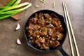 Mongolian beef Royalty Free Stock Photo