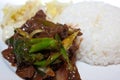 Mongolian beef with plain rice. Royalty Free Stock Photo