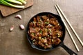 Mongolian beef Royalty Free Stock Photo