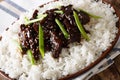 Mongolian cuisine: beef with sesame, green onion and garnish of