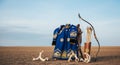 Mongolian deel bow and bones on vast open steppe Royalty Free Stock Photo