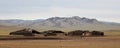 Mongolian Farm Buildings Royalty Free Stock Photo