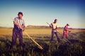 Mongolian Farmers Working Hard Agricultural Crop Concept