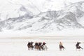 Mongolian ger in the mountains during the golden eagle festival