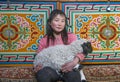 Mongolian girl inside her home ger with her pet baby sheep