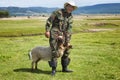 Mongolian herder catches a lamb