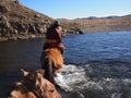 Mongolian Herder Crossing a River on Horseback