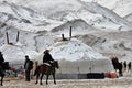 Mongolian horse in the mountains during the golden eagle festival Royalty Free Stock Photo