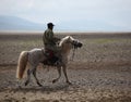 Mongolian Horseman